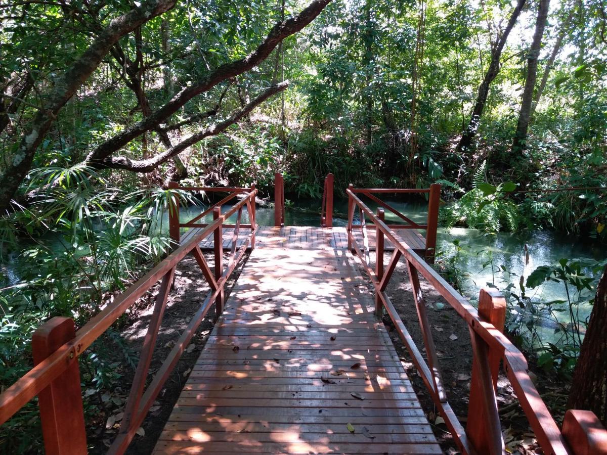 Pousada De Charme Formiga Ecolodge Mateiros Ngoại thất bức ảnh